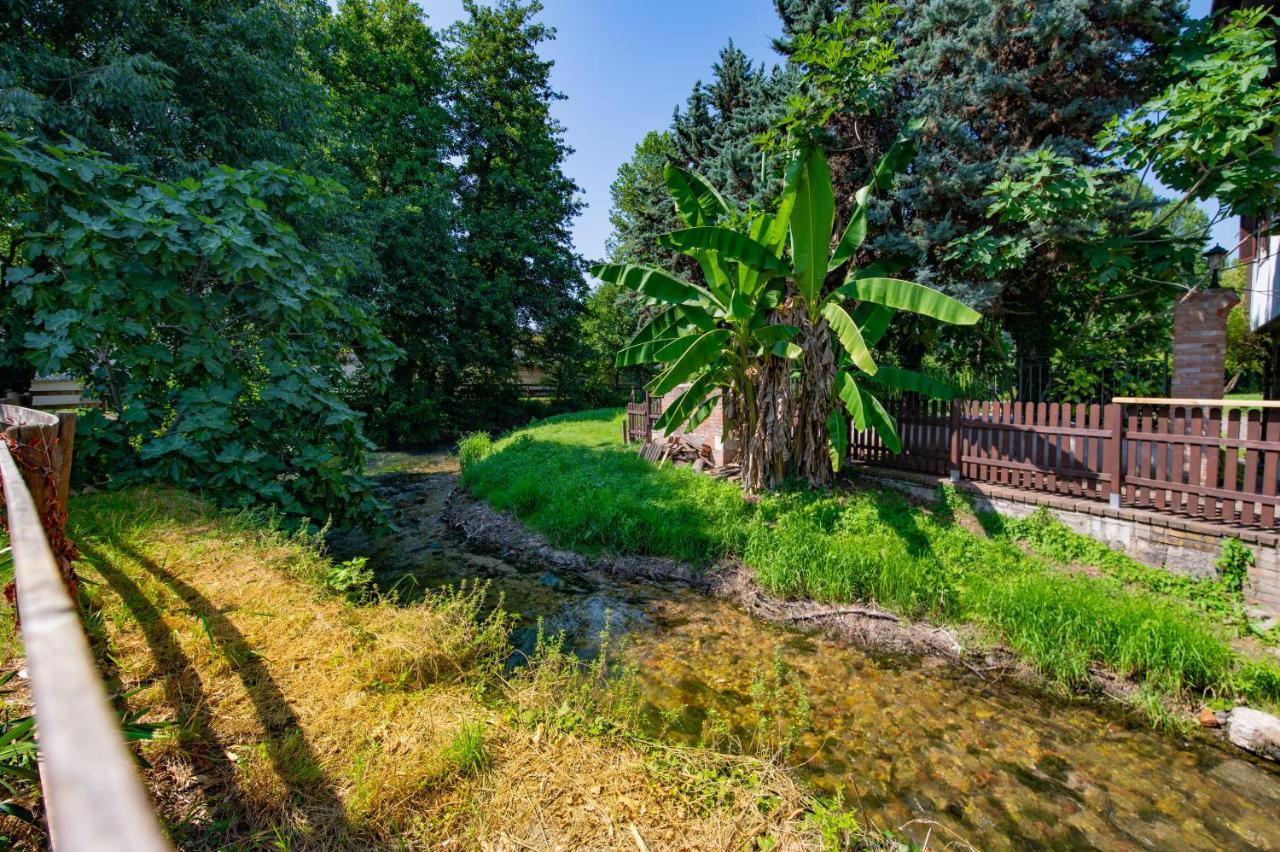 Villa Vitti'S - Verona Est San Martino Buon Albergo Exterior foto